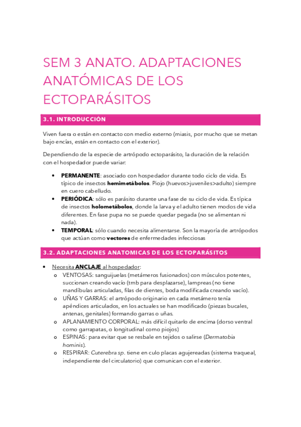 Miniatura del documento SEM3-ANATO.pdf
