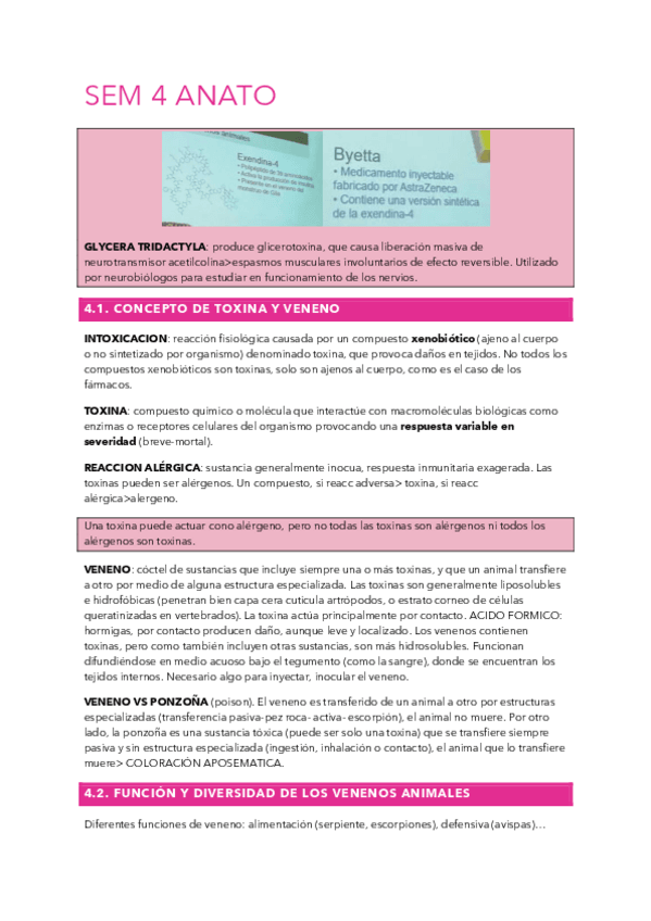 Miniatura del documento SEM4-ANATO.pdf