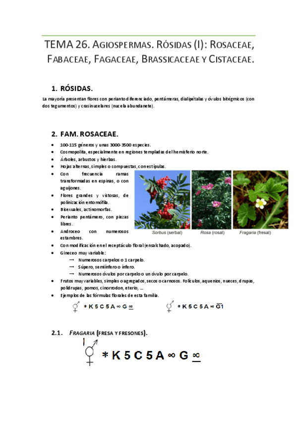 Miniatura del documento TEMA 26.pdf