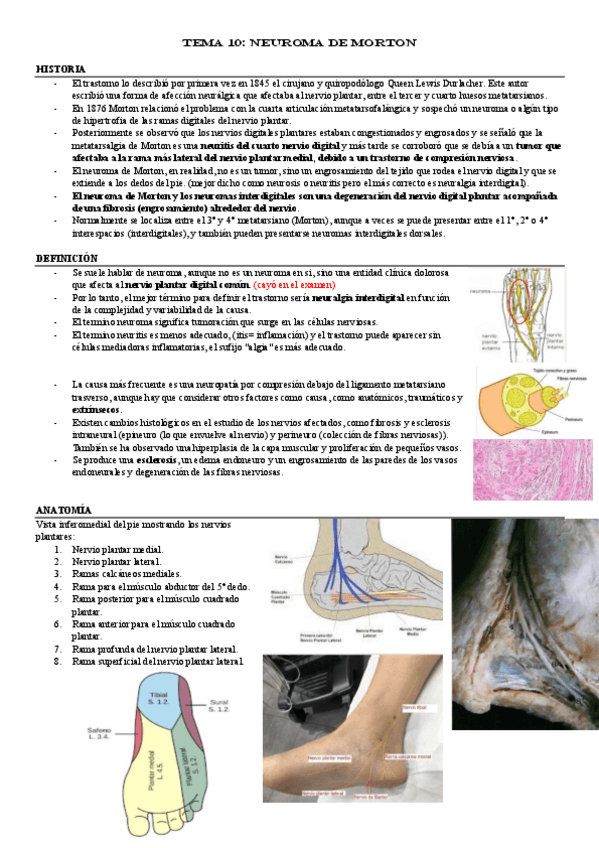 Miniatura del documento TEMA-10.pdf