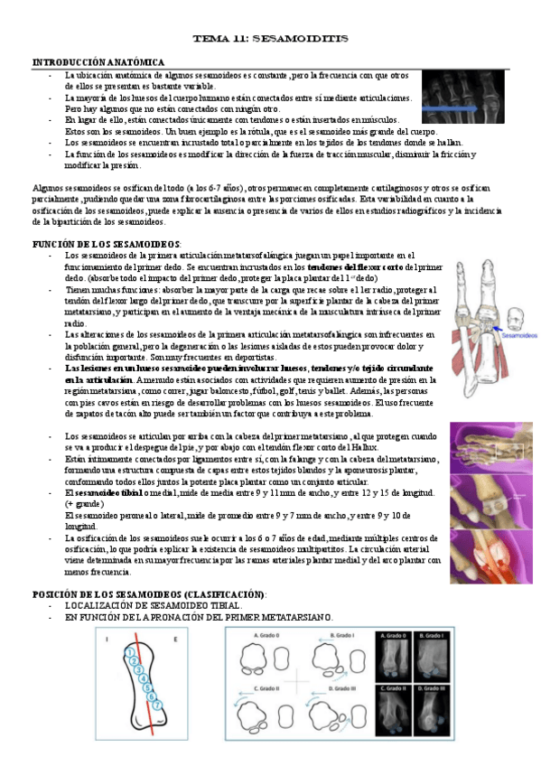 Miniatura del documento TEMA-11.pdf