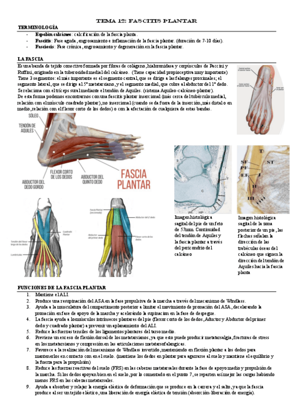 Miniatura del documento TEMA-12.pdf