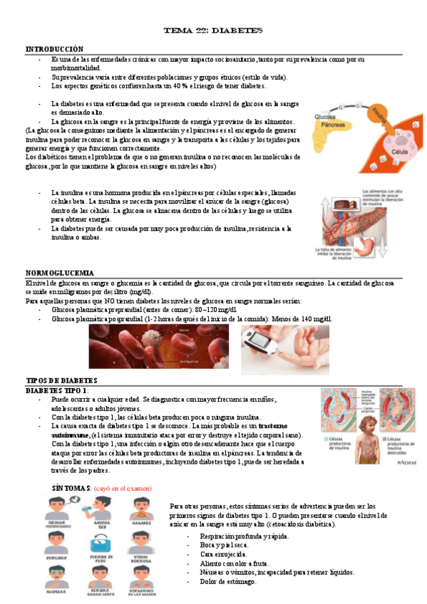 Miniatura del documento TEMA-22.pdf