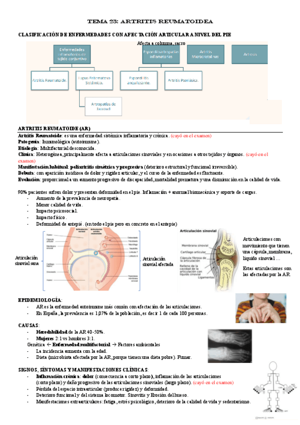 Miniatura del documento TEMA-23.pdf