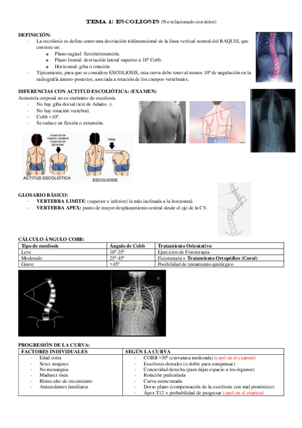Miniatura del documento TEMA-1.pdf