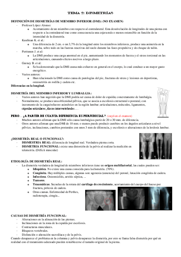 Miniatura del documento TEMA-2.pdf