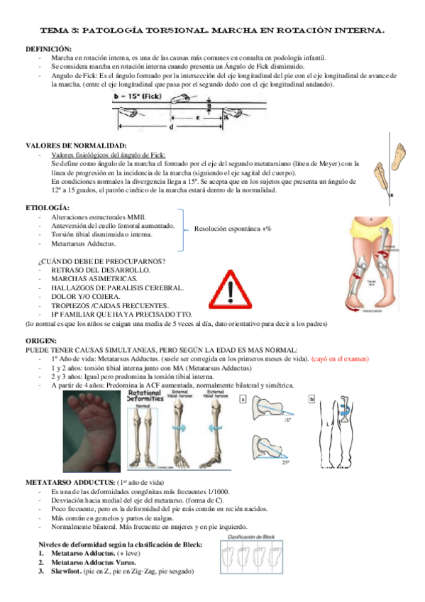 Miniatura del documento TEMA-3.pdf