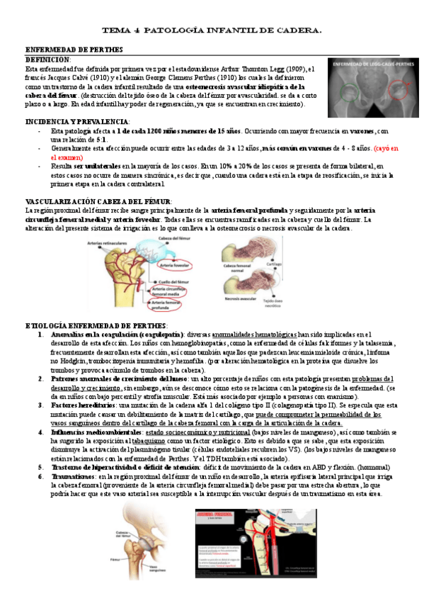 Miniatura del documento TEMA-4-Y-5.pdf