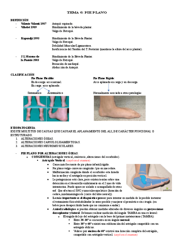 Miniatura del documento TEMA-6.pdf