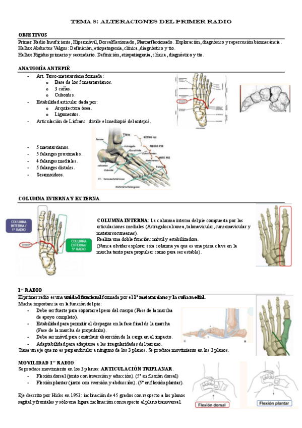 Miniatura del documento TEMA-8.pdf