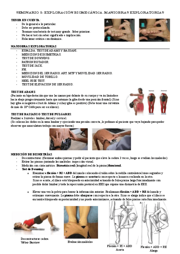 Miniatura del documento SEMINARIO-3.pdf