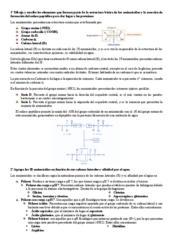 Miniatura del documento RESPUESTA-EXAMENES-BIOQUIMICA.pdf