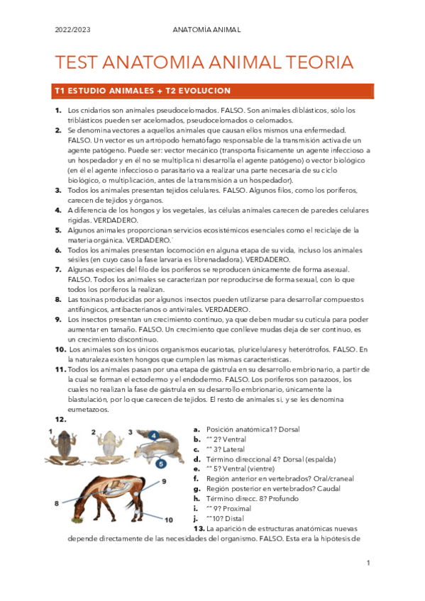 Miniatura del documento TESTANATOTEORIA-1-7.pdf