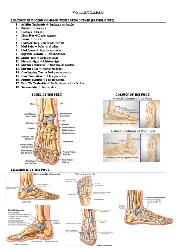 Miniatura del documento VOCABULARIO.pdf