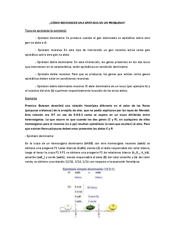 Miniatura del documento COMO-RECONOCER-UNA-EPISTASIA-EN-UN-PROBLEMA.pdf