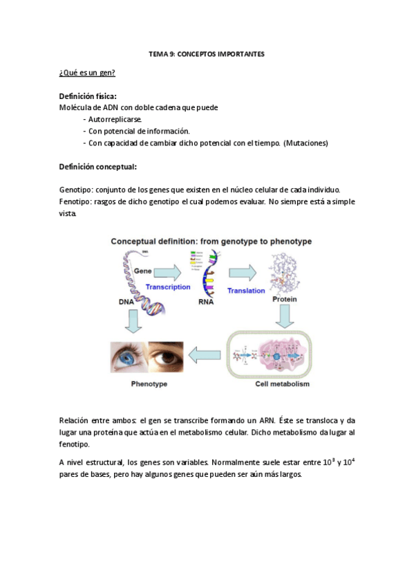 Miniatura del documento TEMA-9.pdf
