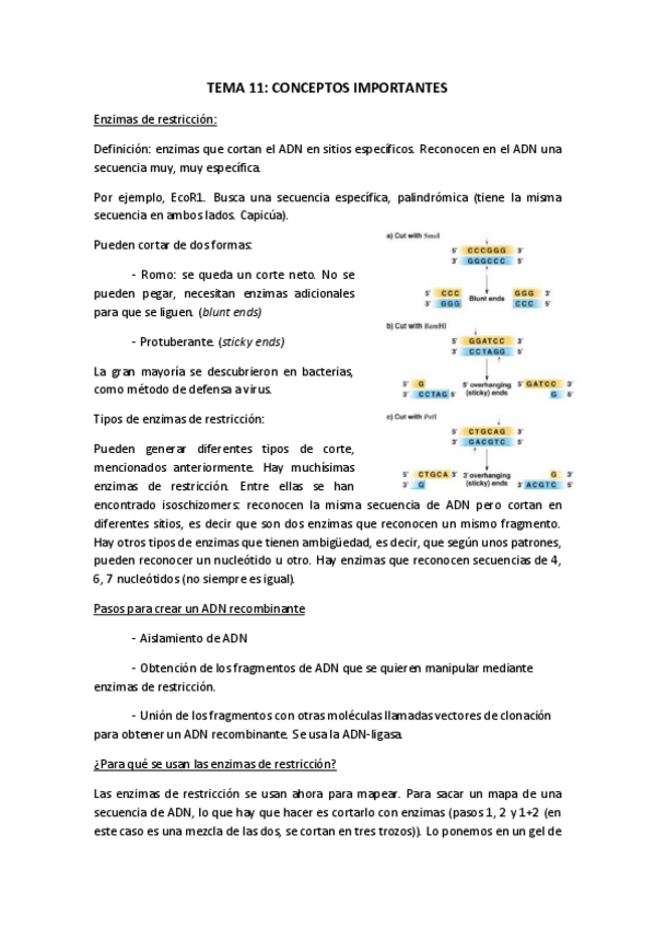 Miniatura del documento TEMA-11.pdf
