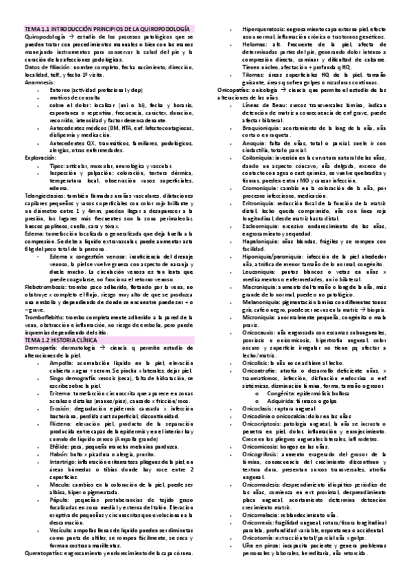 Miniatura del documento RESUMEN-QUIRO.pdf