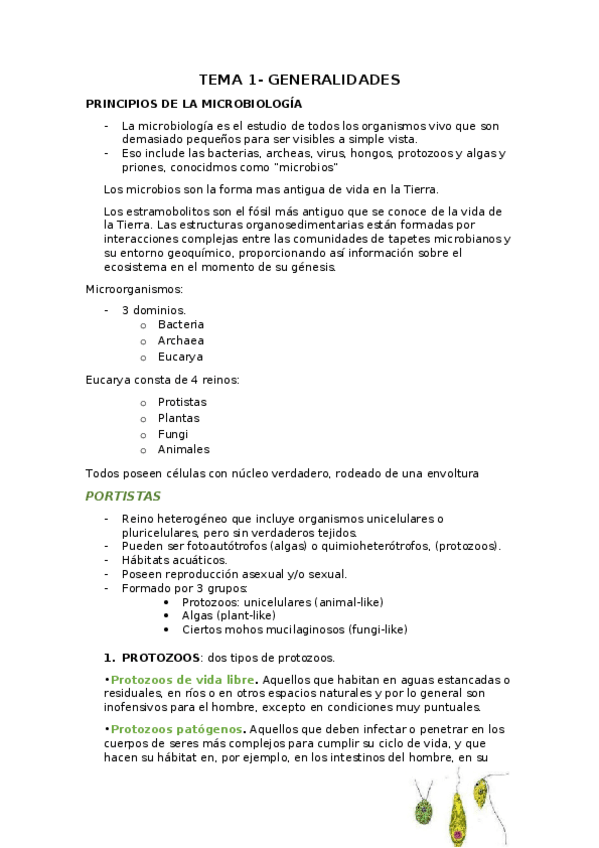 Miniatura del documento TEMA-1.docx