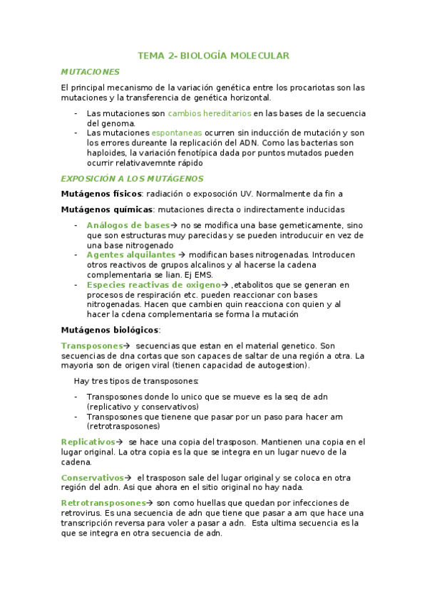 Miniatura del documento TEMA-2.docx