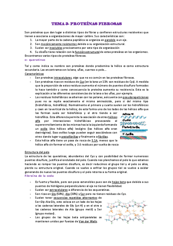Miniatura del documento Tema-3.pdf