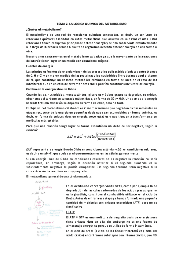 Miniatura del documento TEMA-2.pdf