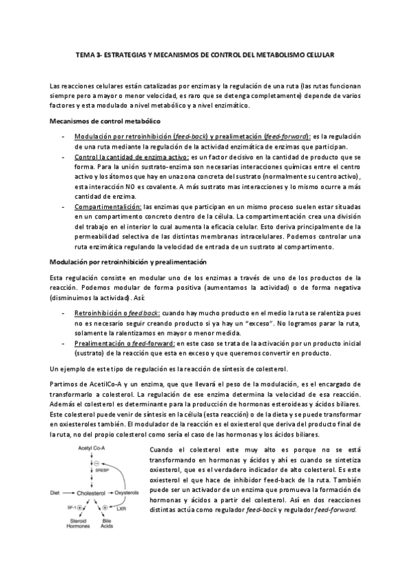 Miniatura del documento Tema-3.pdf