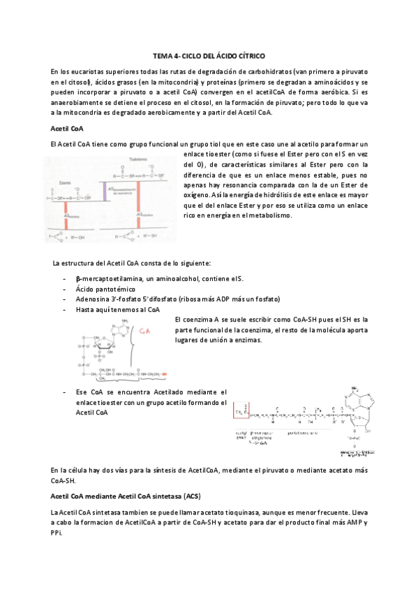 Miniatura del documento Tema-4.pdf