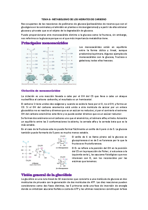 Miniatura del documento TEMA-6.pdf