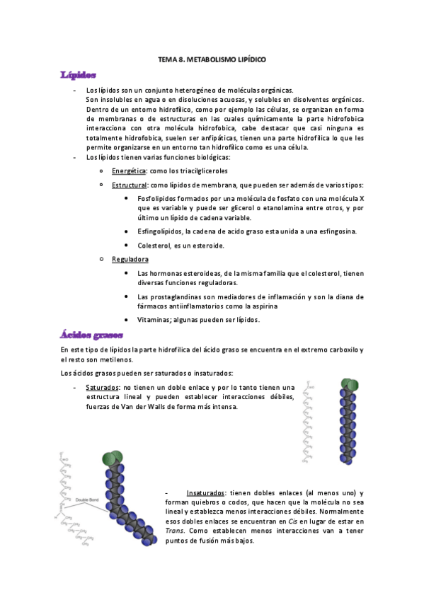 Miniatura del documento TEMA-8.pdf