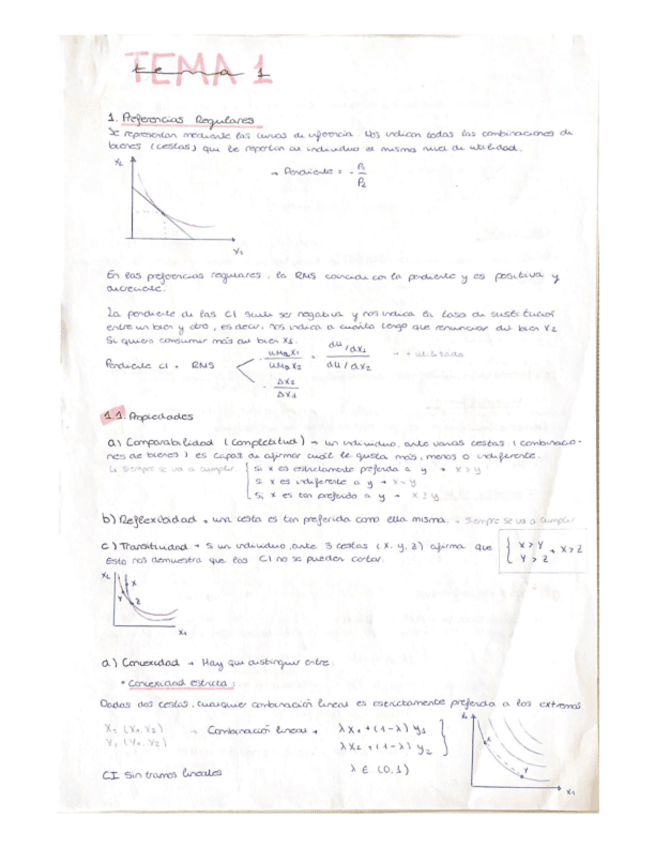 Miniatura del documento Esquemas-temas-1-6.pdf