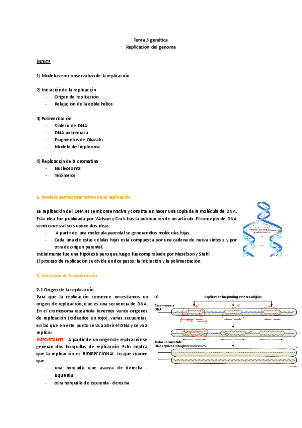 Miniatura del documento TEMA-3.pdf