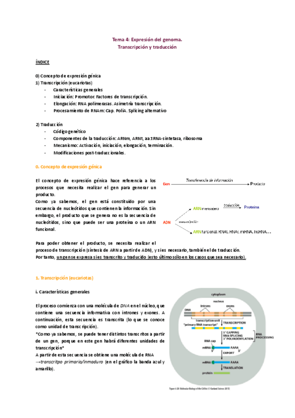 Miniatura del documento TEMA-4.pdf