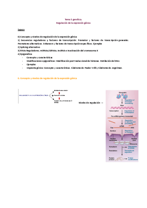 Miniatura del documento TEMA-5.pdf