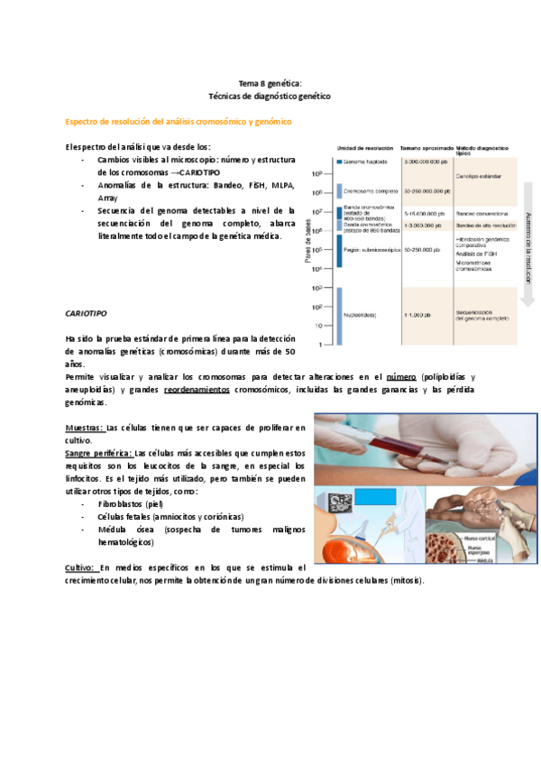 Miniatura del documento TEMA-8.pdf