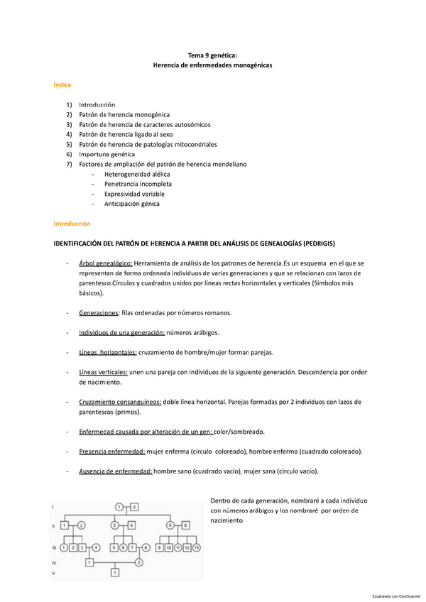 Miniatura del documento TEMA-9.pdf