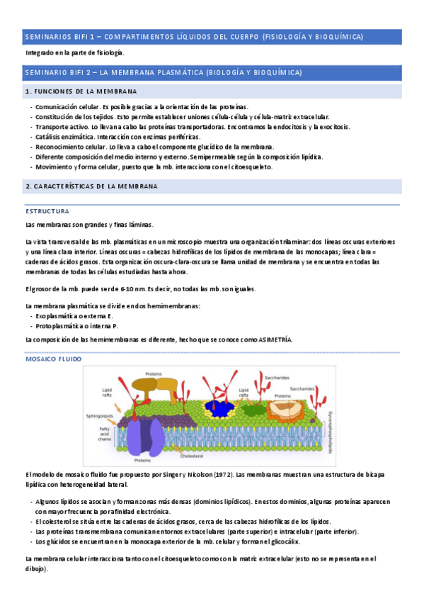 Miniatura del documento SEMINARIOS-BIFI.pdf
