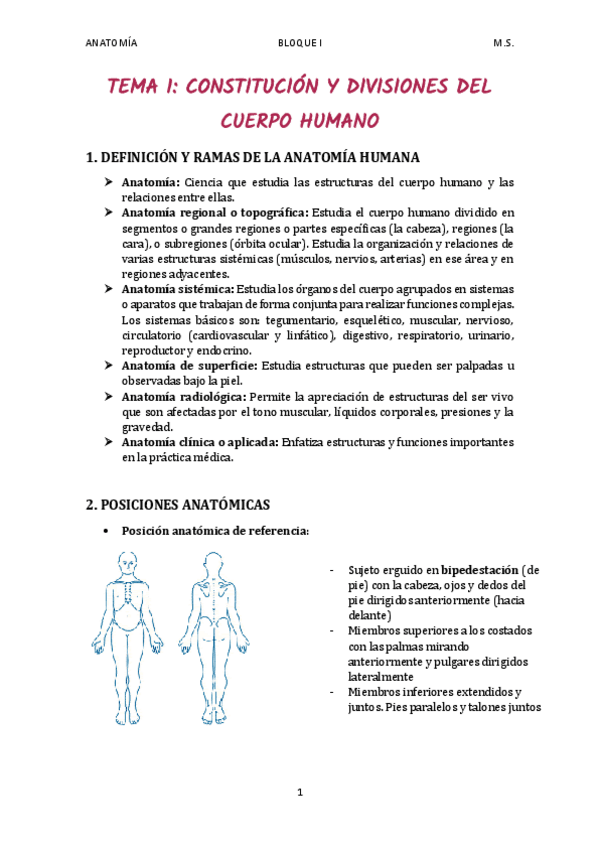 Miniatura del documento TEMA-1.pdf