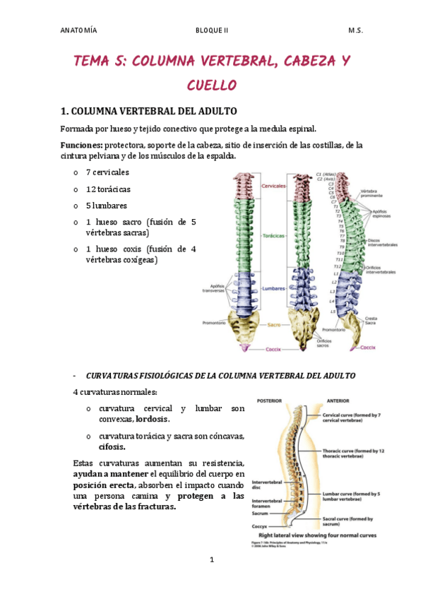 Miniatura del documento TEMA-5.pdf