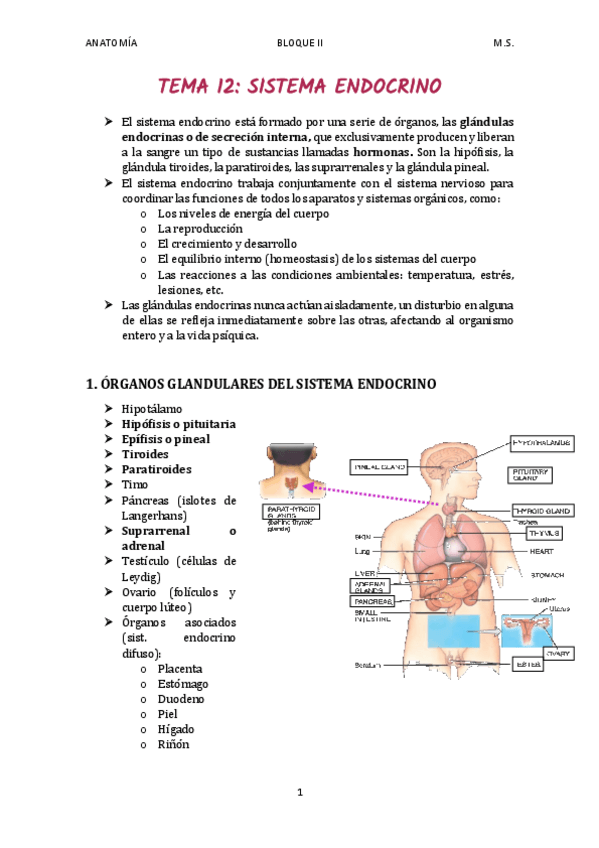 Miniatura del documento TEMA-12.pdf