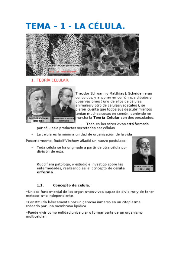 Miniatura del documento TEMA1 organografía.odt