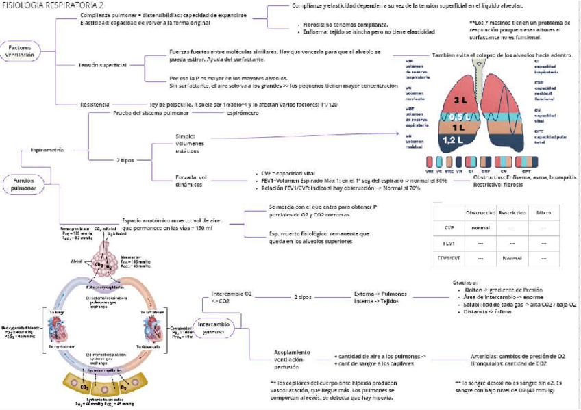 Miniatura del documento resp5.pdf