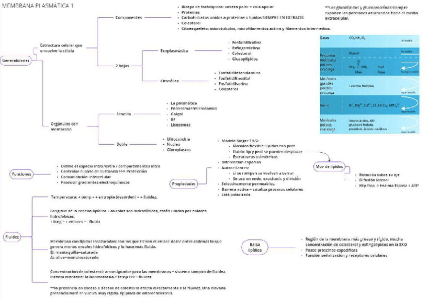 Miniatura del documento Membrana-plasmatica.pdf