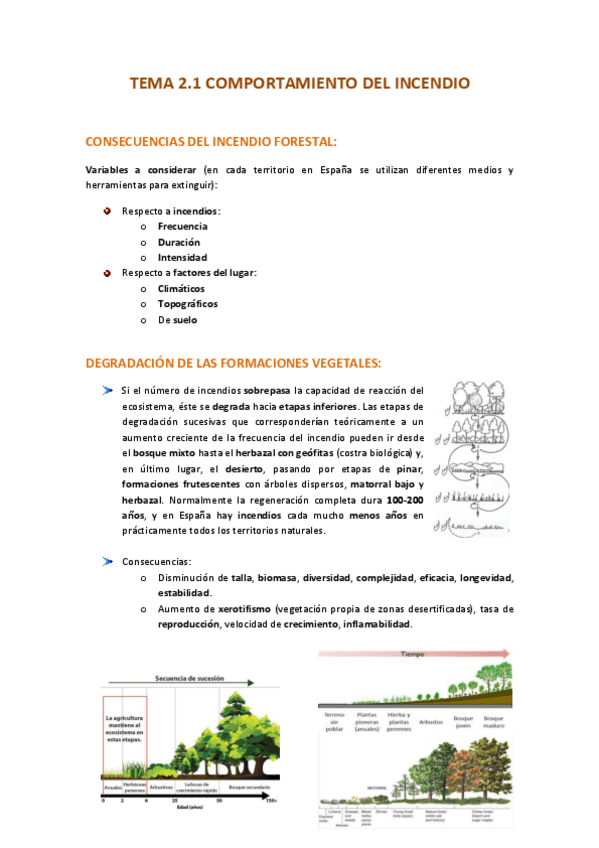 Miniatura del documento TEMA-2-apuntes-1.pdf