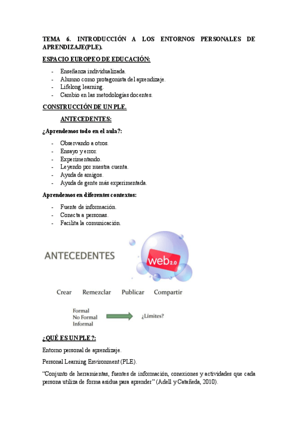 Miniatura del documento TEMA-6.-PLE.pdf