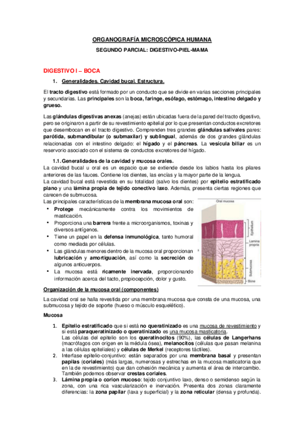 Miniatura del documento APUNTES-DIGESTIVO-I-BOCA.pdf