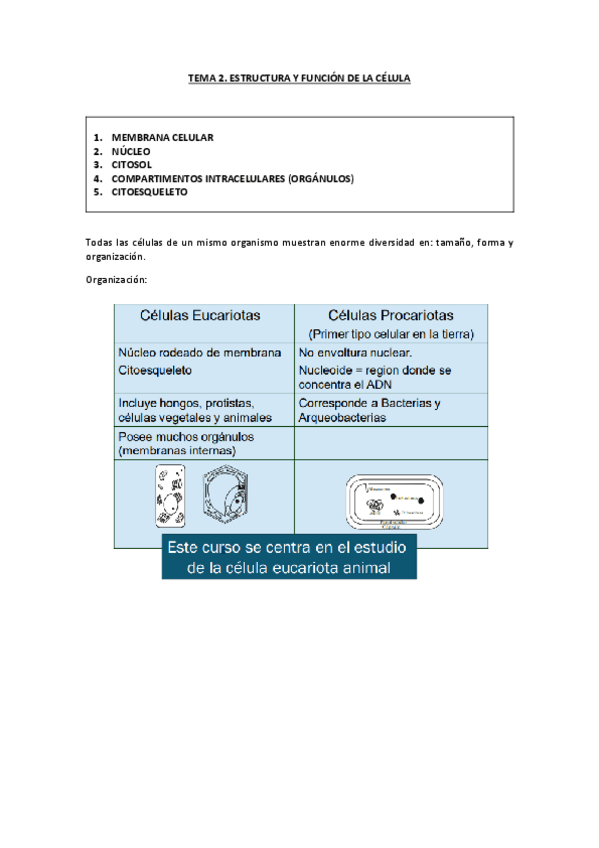 Miniatura del documento TEMA-2.-ESTRUCTURA-Y-FUNCION-DE-LA-CELULA.pdf
