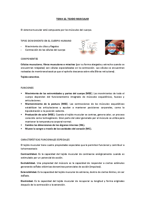 Miniatura del documento TEMA-12.-TEJIDO-MUSCULAR.pdf