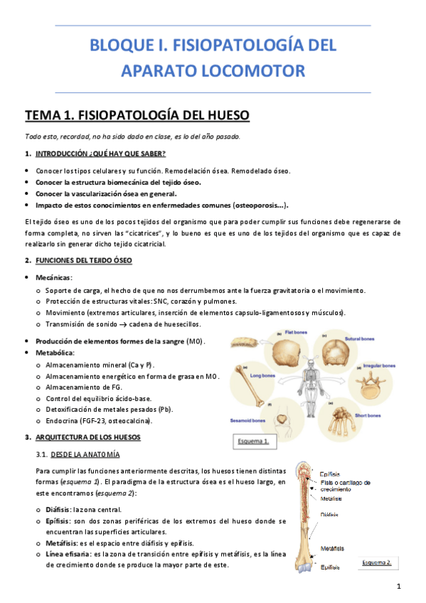 Miniatura del documento BLOQUE-I.-FISIOPATOLOGIA-DEL-APARATO-LOCOMOTOR.pdf