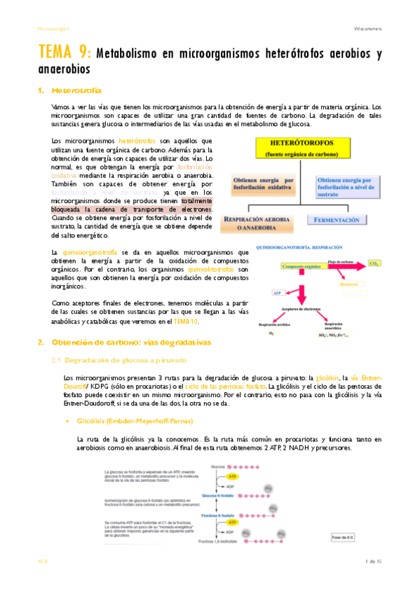 Miniatura del documento TEMA-9.pdf